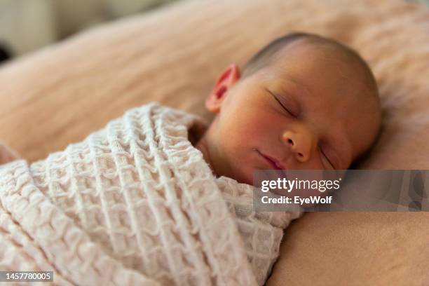 two week old newborn swaddled up laying on back calmly - baby blanket stock pictures, royalty-free photos & images