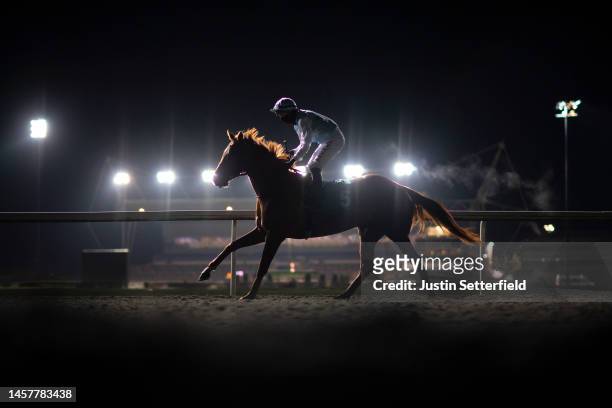 Twilight Kiss ridden by Tom Marquand goes to post for the Unibet Extra Place Offers Every Day Handicap at Kempton Park on January 19, 2023 in...