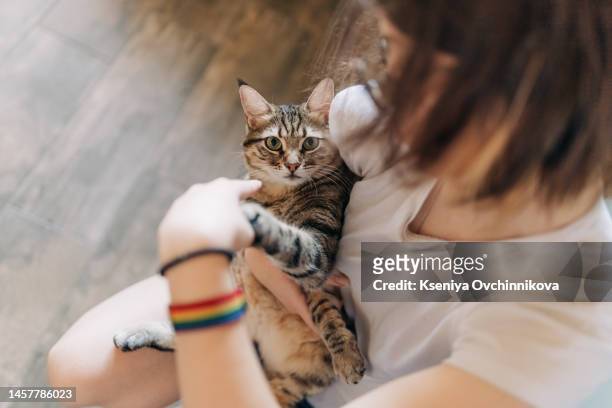 moment joy, tenderness and love of teenager girl with domestic cat. teenage girl with short haircut holds fluffy gray big cat in arms, which purrs and fawns - mixed breed cat stock pictures, royalty-free photos & images