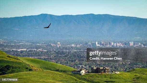 san jose landscape with eagle - san jose californië stockfoto's en -beelden