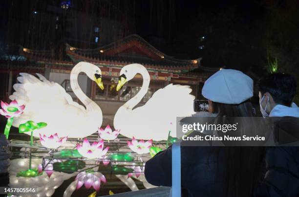 People look at illuminated swan lanterns during a lantern show at Baotu Spring Park ahead of the Chinese New Year, the Year of the Rabbit, on January...