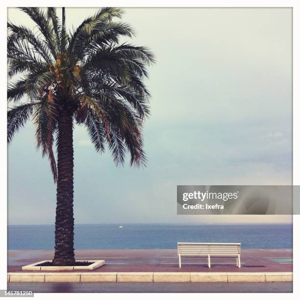 french riviera - the french riviera road stock-fotos und bilder