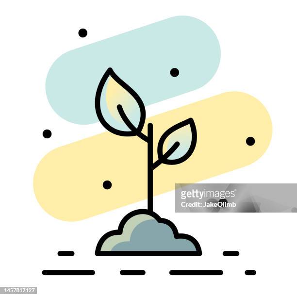 Seed Growing Cartoon High Res Illustrations - Getty Images