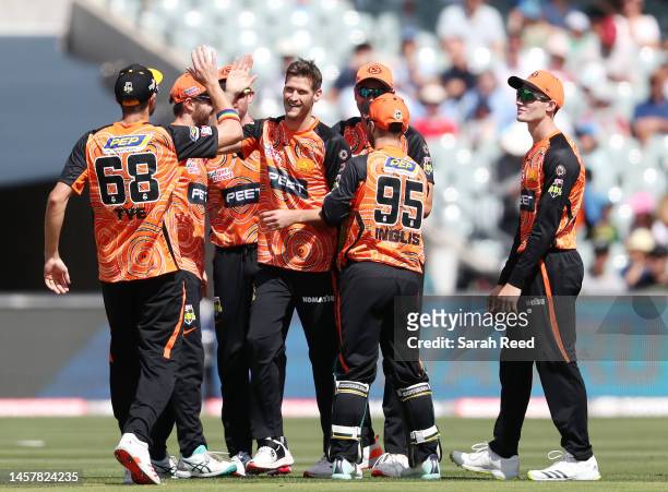David Payne of the Scorchers celebrates with team mates the wicket of Matt Short of the Strikers during the Men's Big Bash League match between the...