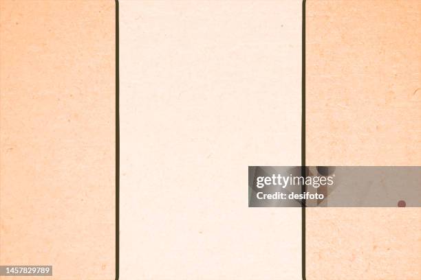 fawn or beige or bright light brown coloured textured effect grunge horizontal vector backgrounds that is blank and empty and has slightly darker shade left and right border divided or separated by black line making vertical partitions - manuscript border stock illustrations
