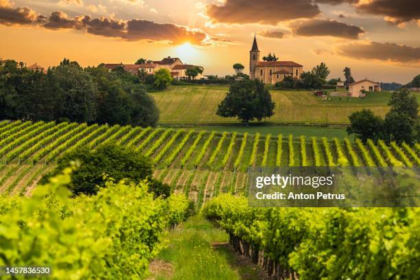 beautiful vineyards at sunset near a small town in france - bordeaux wine - fotografias e filmes do acervo