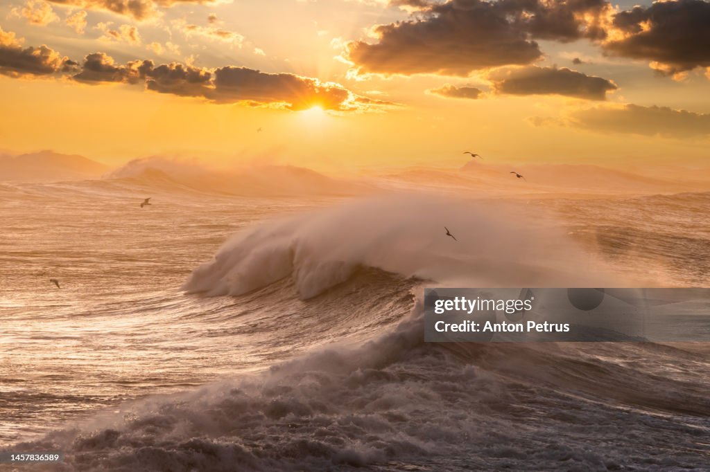 Big waves in a stormy sea at sunset. Iceland