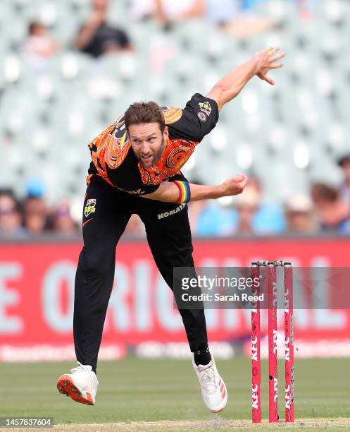 Andrew Tye of the Scorchers during the Men's Big Bash League match between the Adelaide Strikers and the Perth Scorchers at Adelaide Oval, on January...