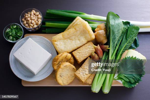 alimentos processados japoneses feitos de tofu de soja, tofu frito espesso, tofu frito, tofu frito e ganmodoki - aburaage - fotografias e filmes do acervo
