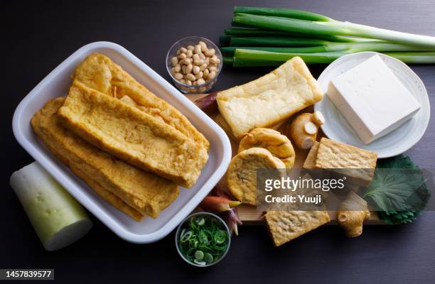japanese processed foods made from soybeans tofu, thick fried tofu, deep fried tofu, fried tofu, and ganmodoki - aburaage stockfoto's en -beelden