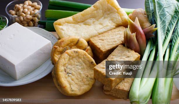 alimentos processados japoneses feitos de tofu de soja, tofu frito espesso, tofu frito, tofu frito e ganmodoki - aburaage - fotografias e filmes do acervo