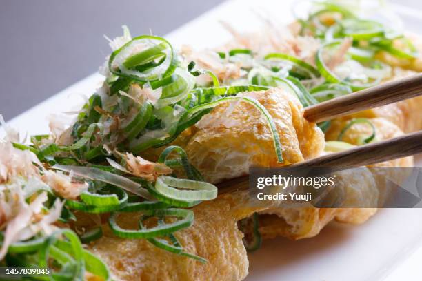large tochio deep-fried tofu made in tochio, niigata prefecture - aburaage stockfoto's en -beelden