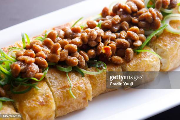 large tochio deep-fried tofu made in tochio, niigata prefecture - aburaage stockfoto's en -beelden