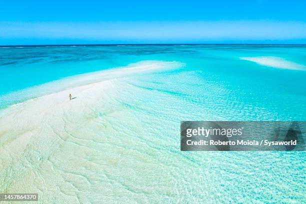 overhead view of woman standing in the crystal blue sea - aerial beach view sunbathers stock pictures, royalty-free photos & images