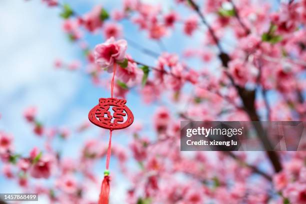 chinese new year's traditional decorations hanging on trees - fiore di pesco foto e immagini stock