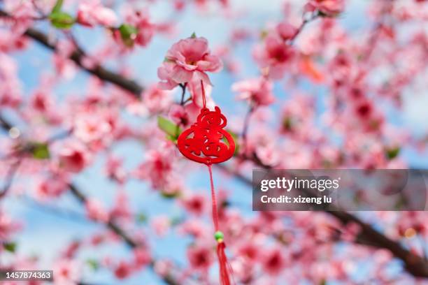 chinese new year's traditional decorations hanging on trees - fiore di pesco foto e immagini stock