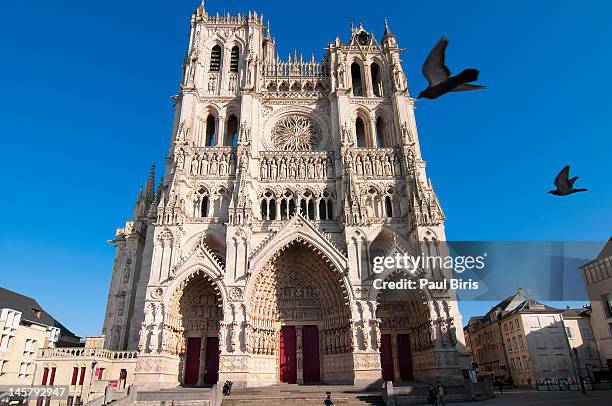 notre dame d'amiens - amiens stock-fotos und bilder