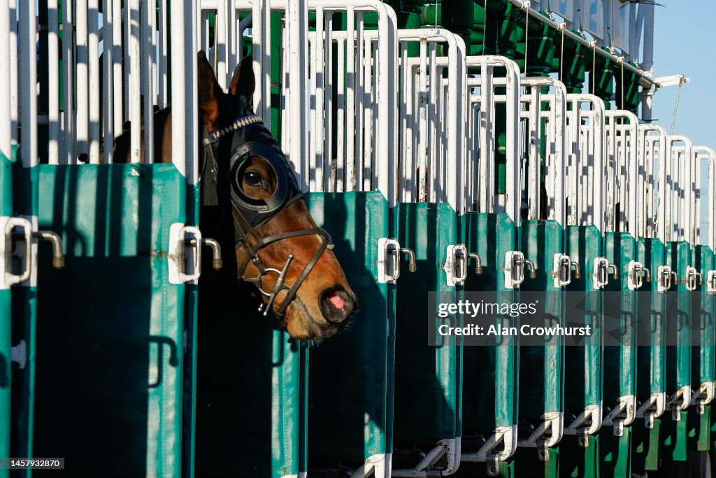 Southwell Races