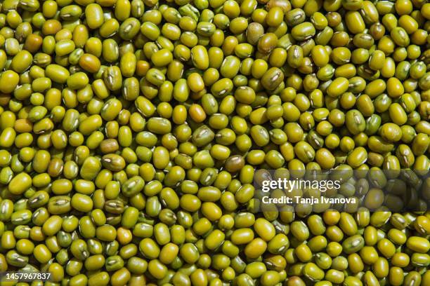 food background from a texture of raw mung bean close-up. flat lay, top view, copy space. - mung bean stock pictures, royalty-free photos & images