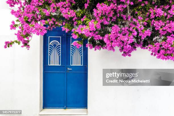door with flowers - buganville foto e immagini stock