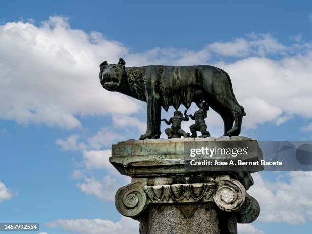 the statue of romulus and remus on the capitoline hill of rome. - ancient rome food stock pictures, royalty-free photos & images