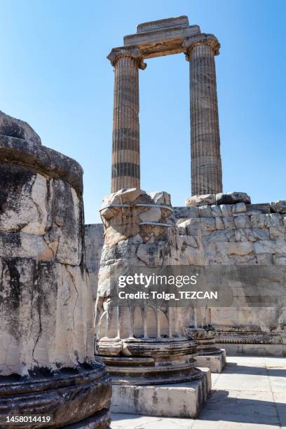 temple of apollo in didyma, turkey - templo de apolo naxos imagens e fotografias de stock