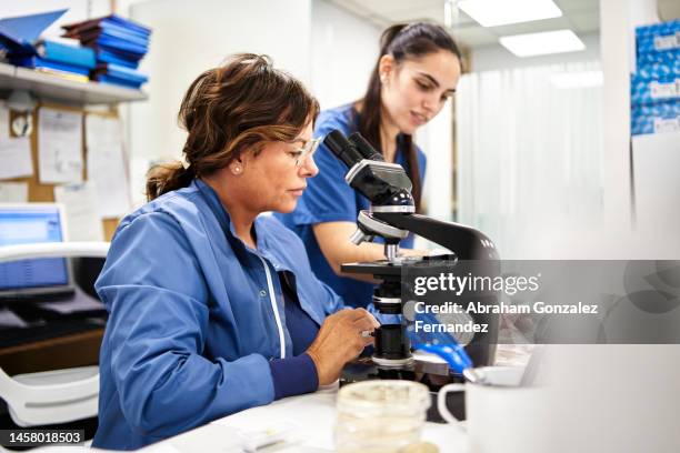 staff members analyzing samples in a clinical analysis laboratory - pandemic stock pictures, royalty-free photos & images