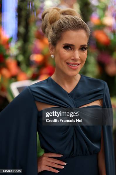 Sylvie Meis attends the Feast of Dreams during the Grand Reveal... News