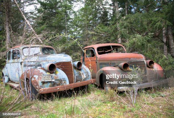 two old cars rot in the canadian wilderness - 2 peas in a pod stock pictures, royalty-free photos & images