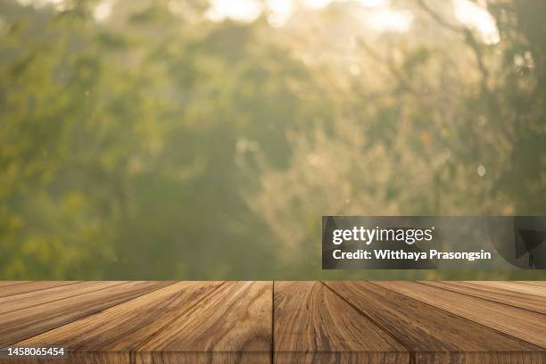 empty wooden table with defocused green lush foliage at background - table de pique nique photos et images de collection