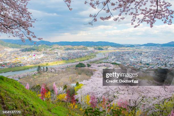 scenic aerial view of funaoka city and shiroishi river in spring with cherry blossom trees, sendai, miyagi, japan - préfecture de miyagi photos et images de collection