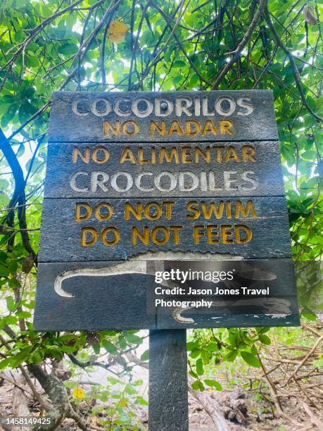 a crocodile warning sign near the beach in costa rica - nosara costa rica stock pictures, royalty-free photos & images