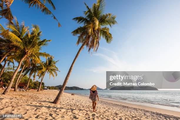 woman at pantai cenang beach at sunset, langkawi, malaysia - beach vacation stock pictures, royalty-free photos & images