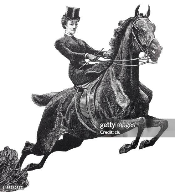 young show jumper with stovepipe hat jumps with her horse, white background - archival illustration stock illustrations