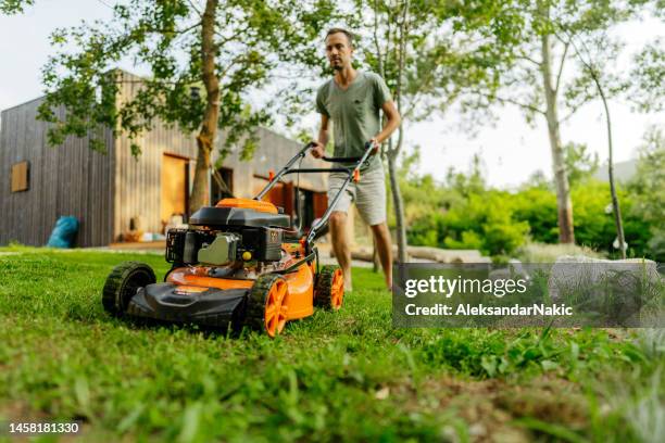 mowing the lawn together - lawn mower stock pictures, royalty-free photos & images