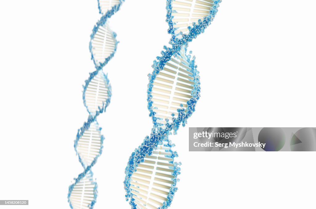 Close-up of a DNA helix on a white background.