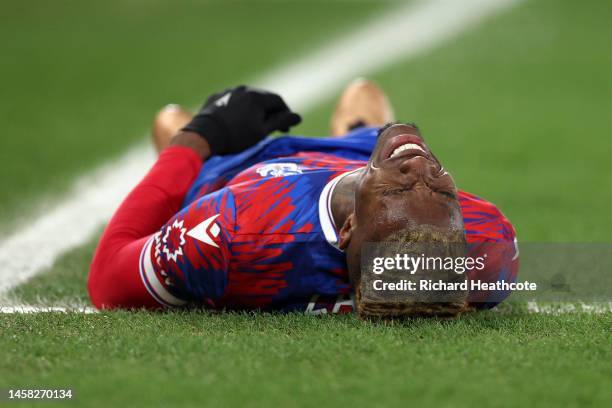 Wilfried Zaha of Crystal Palace goes down with an injury during the Premier League match between Crystal Palace and Newcastle United at Selhurst Park...