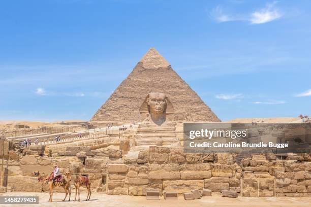 man sitting on a camel at the pyramids of giza and the sphinx, giza necropolis, egypt - pyramid giza stock pictures, royalty-free photos & images