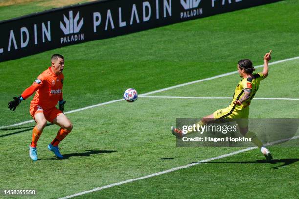 Oskar Zawada of the Phoenix scores a goal past Danny Vukovic of the Mariners during the round 13 A-League Men's match between Wellington Phoenix and...