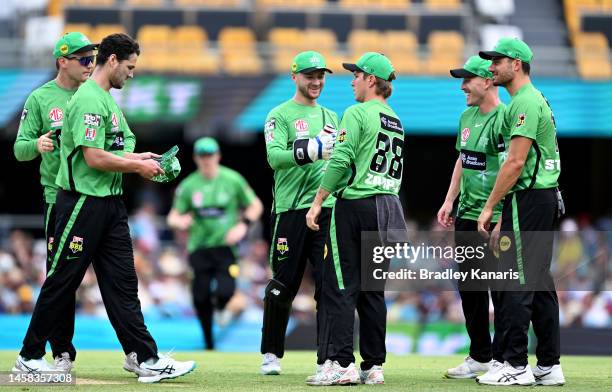 Adam Zampa of the Stars celebrates taking the wicket of Matthew Renshaw of the Heat during the Men's Big Bash League match between the Brisbane Heat...