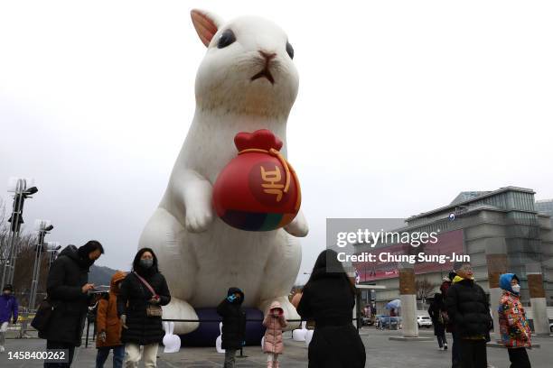Korea Rabbit Package The Square Rabbit Photos and Premium High Res Pictures - Getty Images