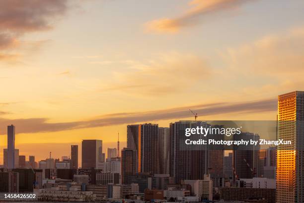 panorama view of tokyo sunset aerial view, japan. - 夕暮れ ストックフォトと画像