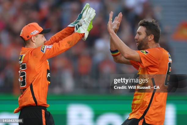 Andrew Tye of the Scorchers celebrates after taking the wicket of Martin Guptill of the Renegades during the Men's Big Bash League match between the...