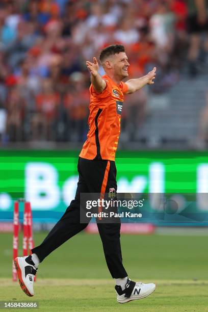 David Payne of the Scorchers celebrates the wicket of Shaun Marsh of the Renegades during the Men's Big Bash League match between the Perth Scorchers...