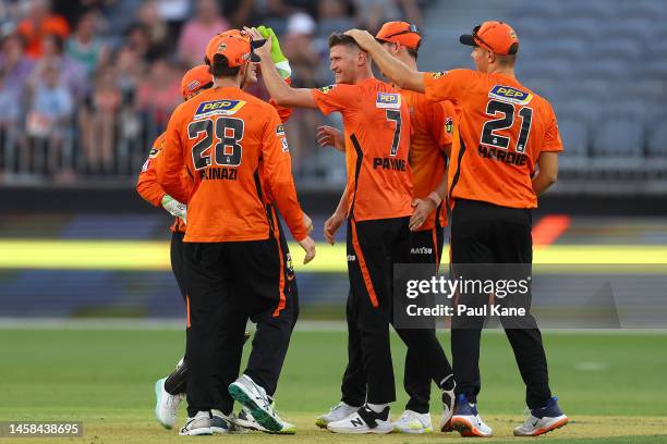 David Payne of the Scorchers celebrates the wicket of Shaun Marsh of the Renegades during the Men's Big Bash League match between the Perth Scorchers...