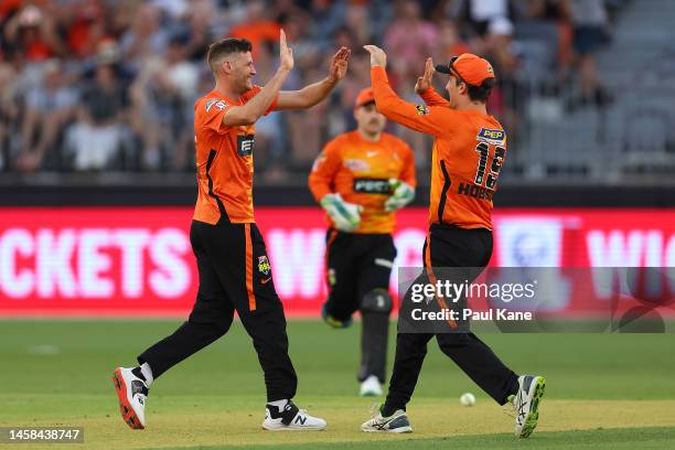 David Payne and Nick Hobson of the Scorchers celebrate the wicket of Shaun Marsh of the Renegades during the Men's Big Bash League match between the...