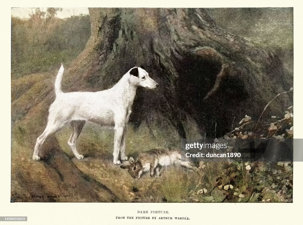 Dame Fortune by Arthur Wardle, Smooth Fox Terrier dog standing over a dead rabbit, Victorian Art