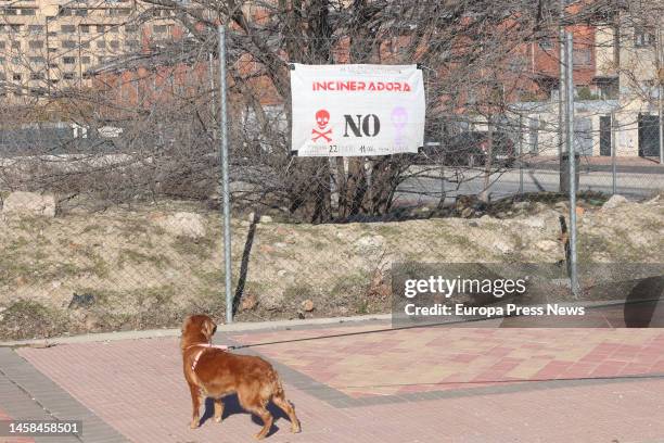 Dog next to a sign against the incinerator during a march for the closure of the Valdemingomez Incinerator in the La Gavia subway, on 22 January,...