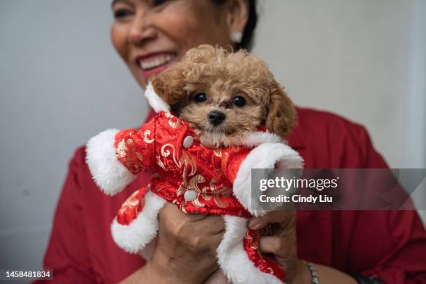 Woman carries a dog wearing a traditional costume on the first day of Lunar New Year on January 22, 2023 in Phnom Penh, Cambodia. The Chinese...