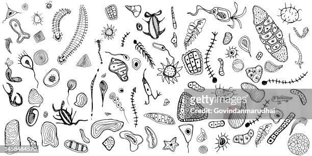 hand drawn set elements, black on white background. old cave doodle art - biology stock illustrations